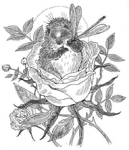 Pasted image 20240410191019.png